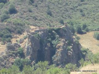 stello Colonna-13-07-2014 20-33-33